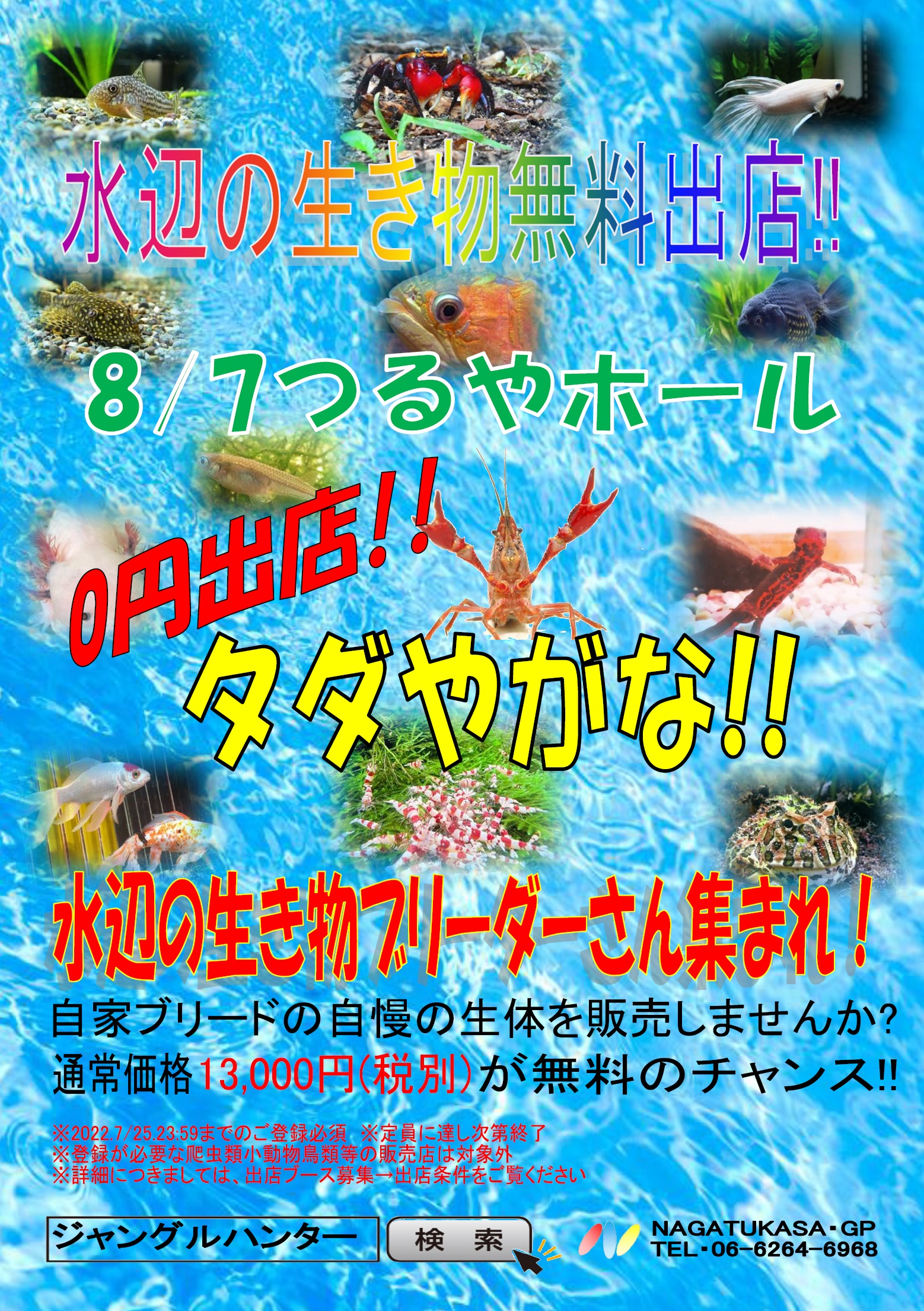 永司千力 ながつかさ ゆきお 夏休み特別企画0円出店 カブクワ 水辺の生き物 ブリーダー集まれ つるやホール 541 0053 大阪府大阪市中央区本町3 3 5 22 8 7 詳しくはhp T Co X6tgbxgxaf 大阪 メダカ カブトムシ