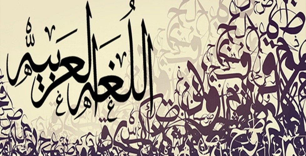makkawi_aha's tweet photo. انفردت اللغة العربية : 
" بالهَمْز في عَرْض الكلام مثل قرأ، ولا يكون في شيء من اللغات إلا إبتداء " 

عن كتاب : البلغة إلى أصول اللغة https://t.co/HPm3ioLNtO