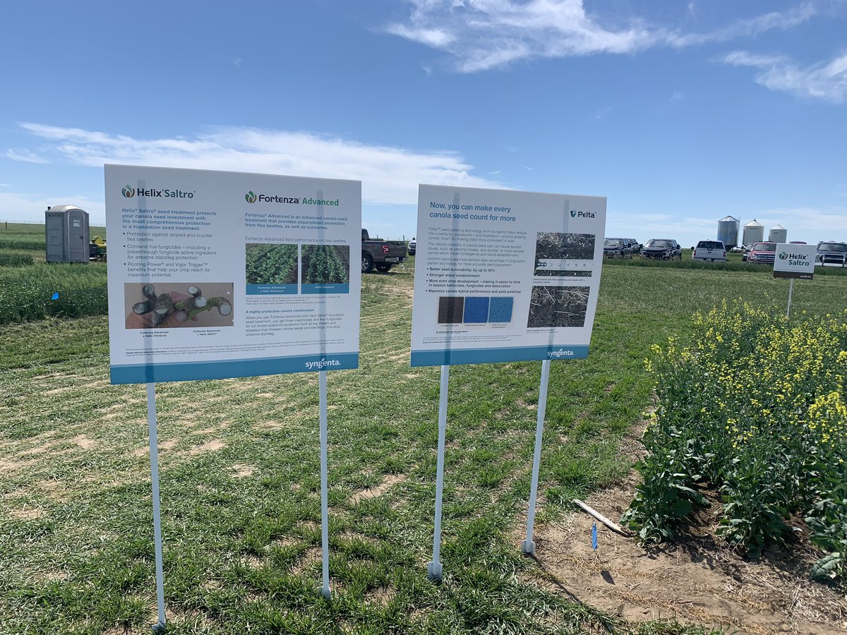 jocelyncoutts's tweet image. Great day for a #fieldperformance tour @syngentacanada #PeltaSizeMySeed #HelixSaltro #FortenzaAdvanced