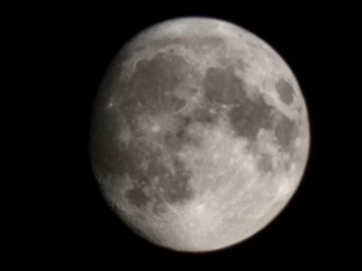 The Lords of Swine tweet media