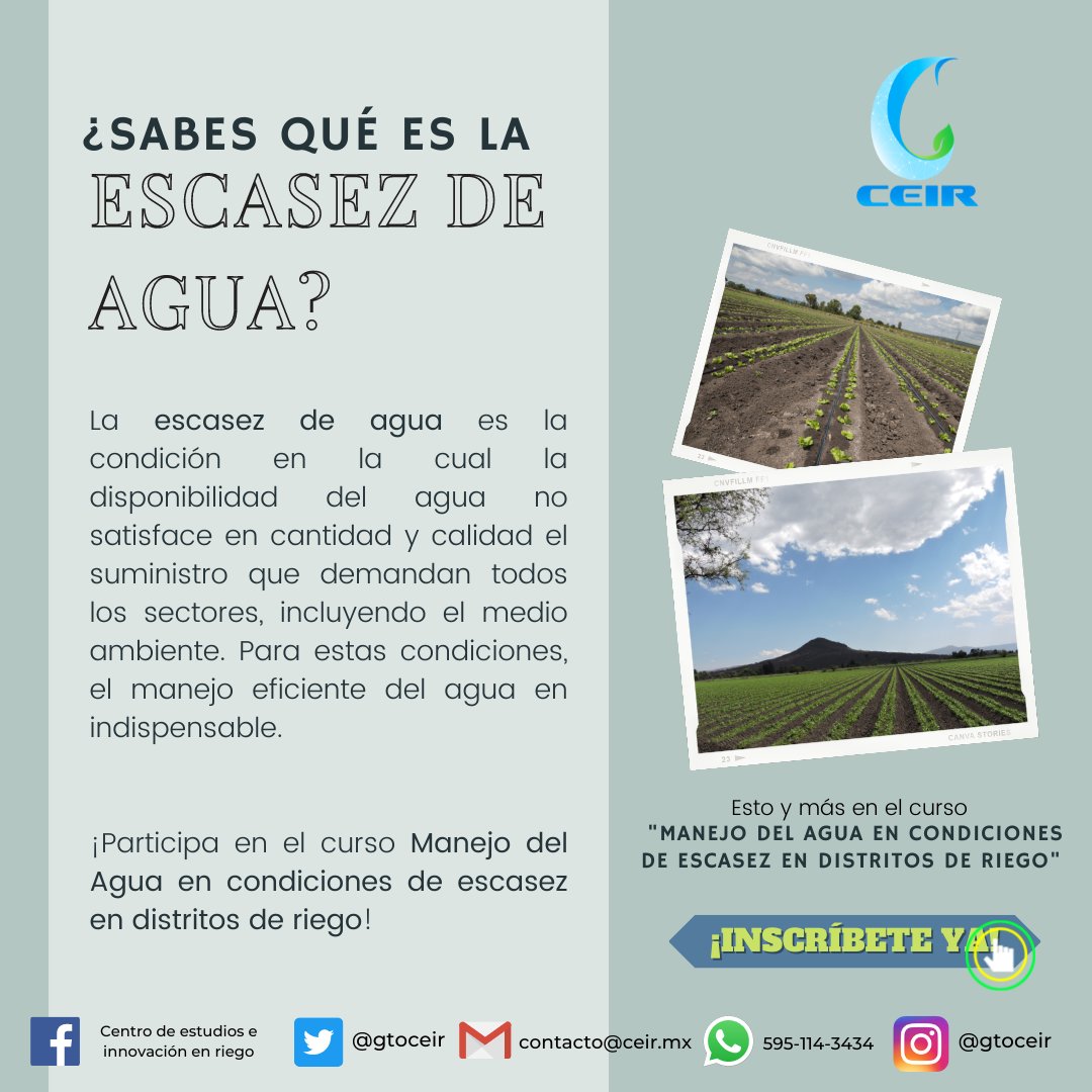 gtoceir's tweet photo. Hoy en día uno de los factores que se vuelve mas común es la escasez del agua. Este factor nos repercute desde el agua para asearnos, hasta la forma en la que llegan nuestros alimentos a la mesa.

Aprendamos a manejar la escasez del agua juntos 
💧 https://t.co/g9J0hl2qAE https://t.co/mMtRmYaU5i