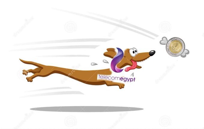 BoodeAhmed13's tweet photo. Dogs
#انترنت_لا_محدود_في_مصر https://t.co/30t7E1kAg0