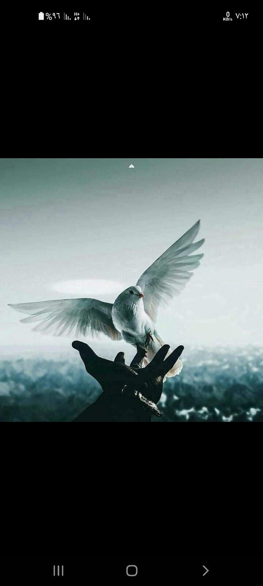 alaaddinm1's tweet photo. الحياه حلوه با الايمان💖💖❤🤍🤍 https://t.co/vsyCnFD1HF