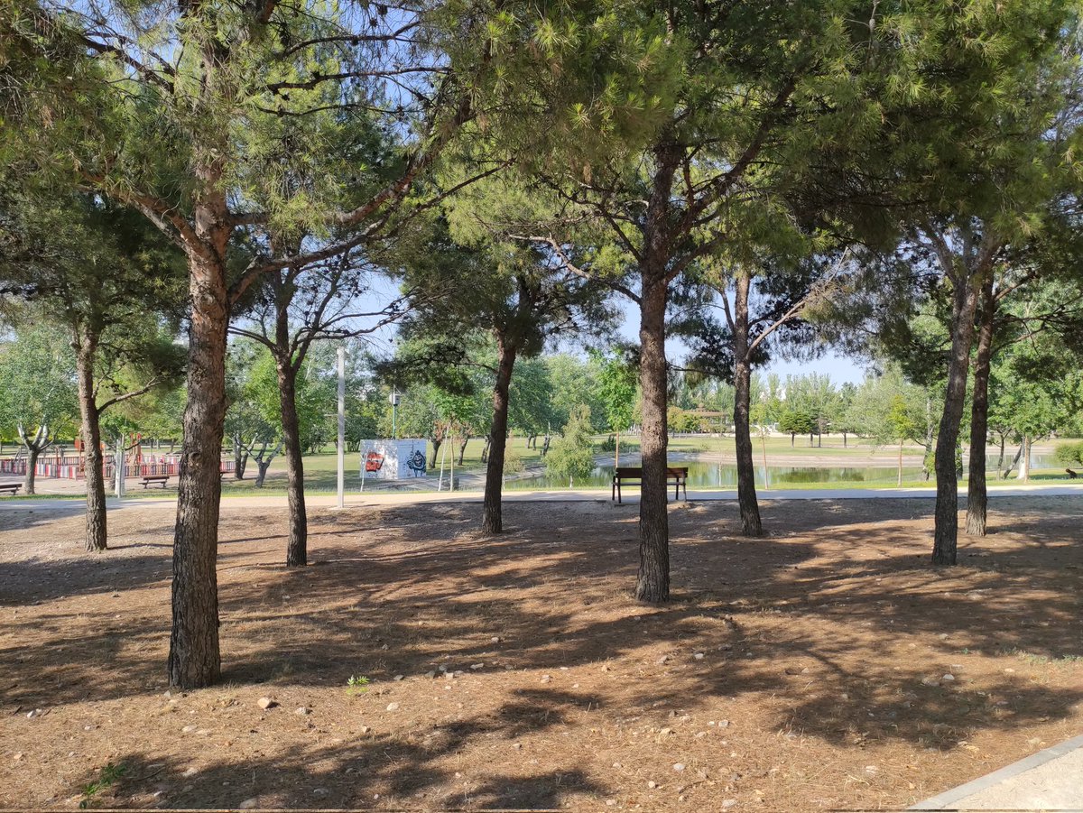 raulc79's tweet photo. Escapada corta,muy suave y buscando las sombras 🥵🥵💪🏻#polarvantagem #corrercomoterapia #correresdevaliente #runner #runnermotivacion https://t.co/nTsyV0ek2C
