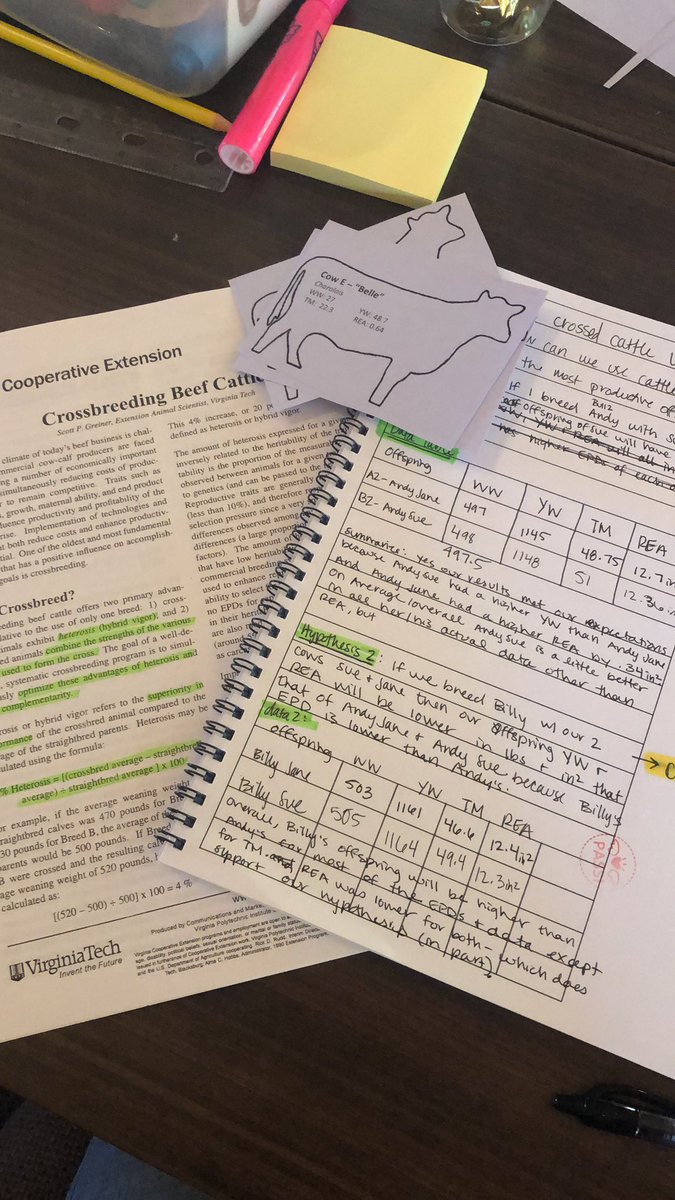 Kayla Pohle tweet media