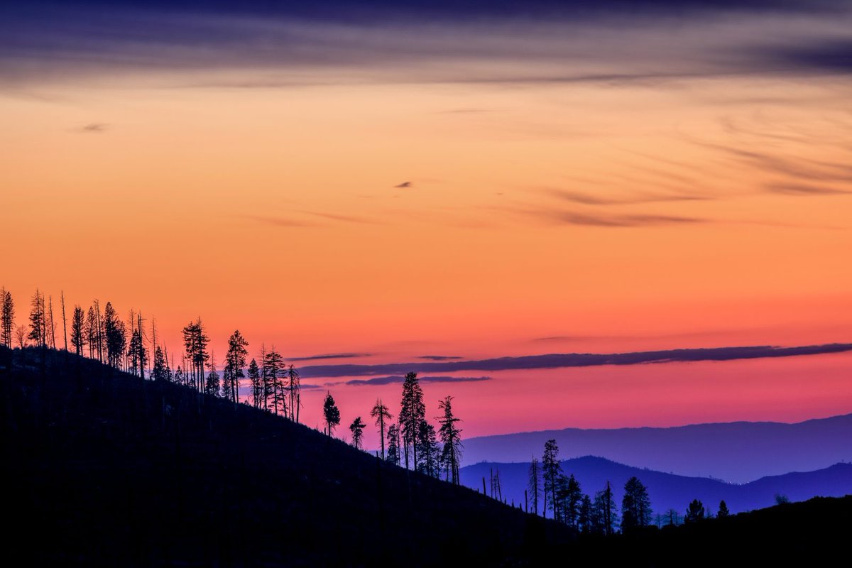 Nature Space (@naturespace_) on Twitter photo 