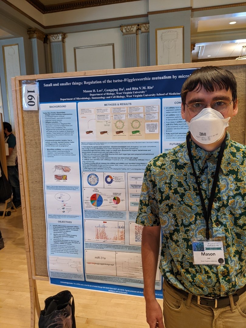 RitaVMRio's tweet photo. If you haven’t met Mason Lee(⁦@thepurplepiper⁩ ) yet, you are missing out! Fascinating individual doing some tedious work trying to come closer to understanding how nutritional symbioses may be regulated. #beneficialmicrobes https://t.co/9mW8aZdDD6