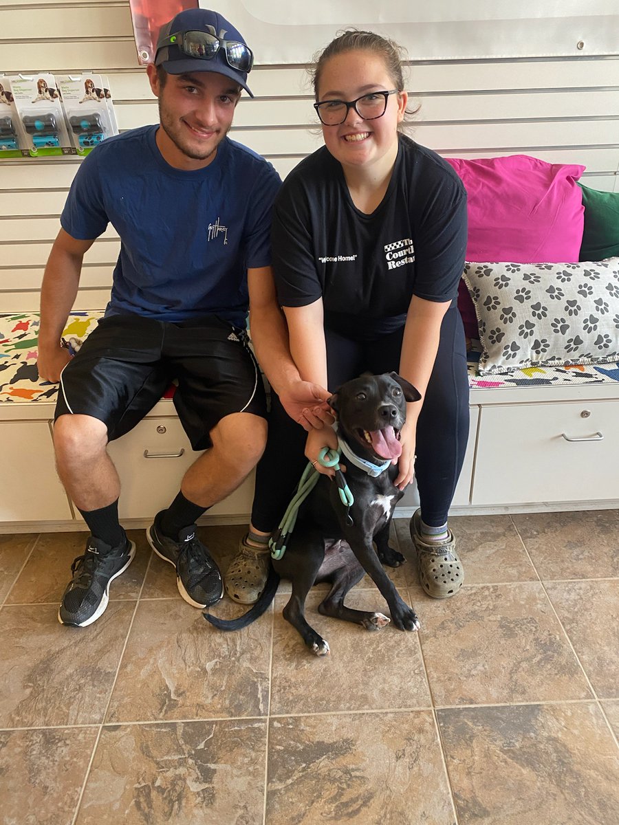 gmhumanesociety's tweet photo. Arlo has been adopted from #gmhumanesociety! Just look at those smiles! 😀🐶❤🐾
This heart connection is presented by Homeward Bound Sponsor Ken Houtz Chevrolet Buick.
#petadoption #adoptdontshop #shelterdogsrock #thinkadoptionfirst https://t.co/uCn6pyvNWq