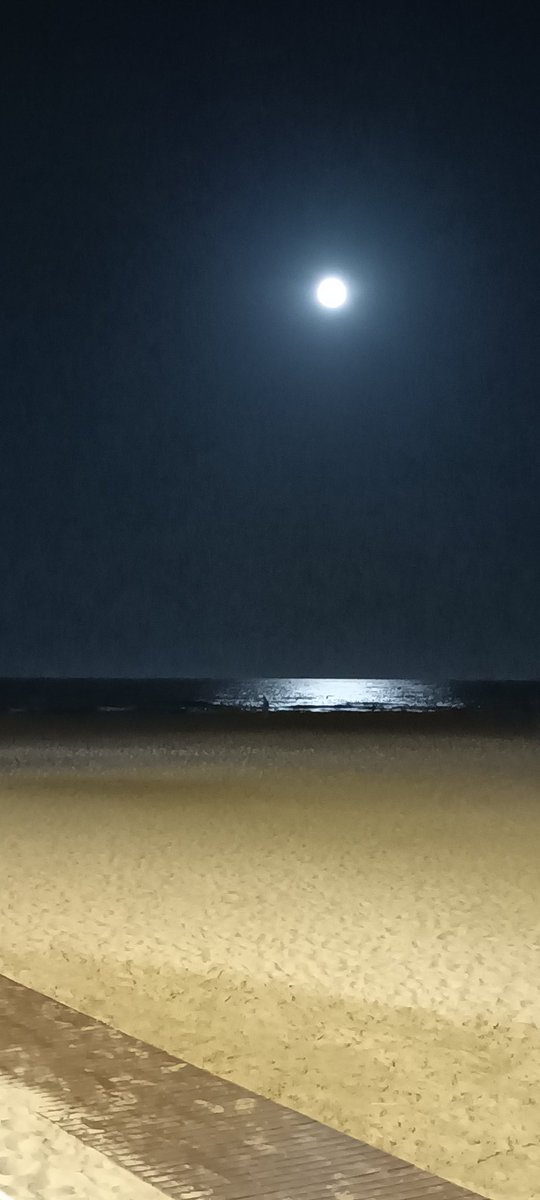 caroline lamour tweet media