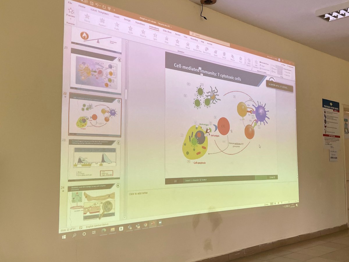 La session pratique de cette journée consistait à stimuler les cellules immunitaires pour des réponses immunitaires spécifiques au paludisme."