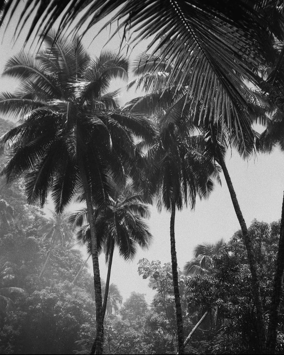 为什么到了这个时候总是会乱想。