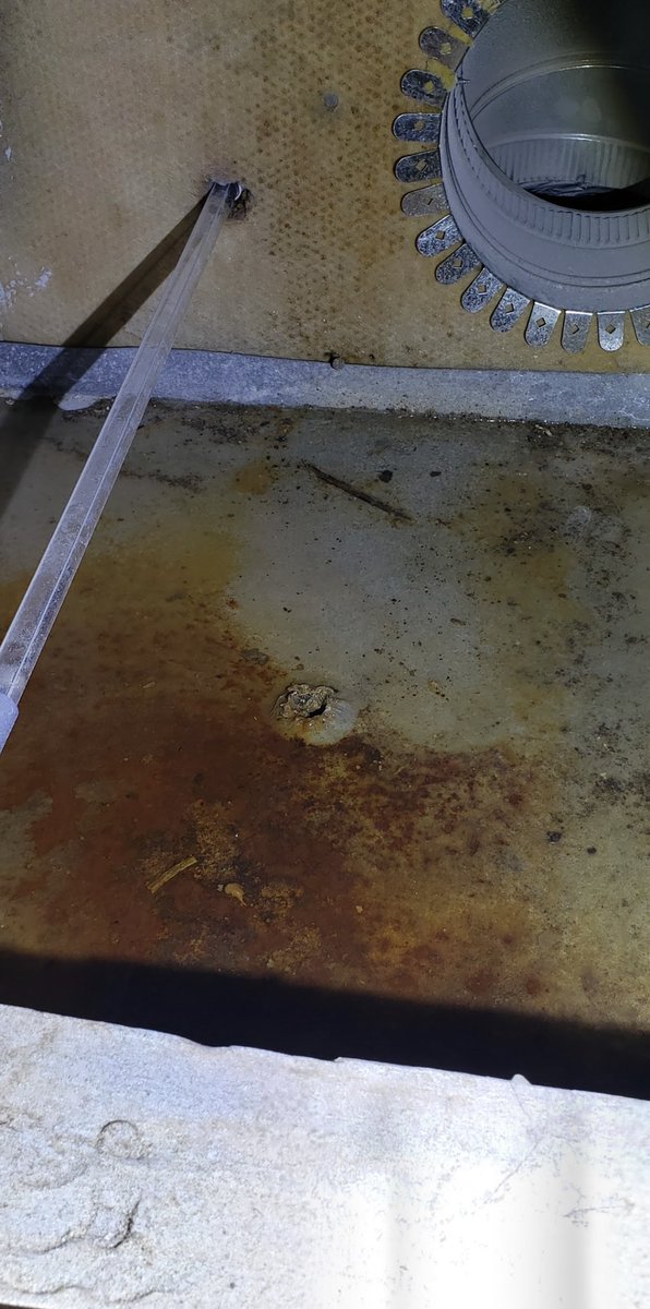 TONERhm's tweet photo. The supply plenum sweats so much an HVAC guy installed a drain pan inside the plenum itself. 🧐 

#TonerHomeMatters #houstonarchitects #custombuilder #buildingforensics #forensicwalkthrough #houstonconstruction #houstonhomes #houstonrealestate #houstonbuilders #houstonbuilder https://t.co/UevaKZyAeB