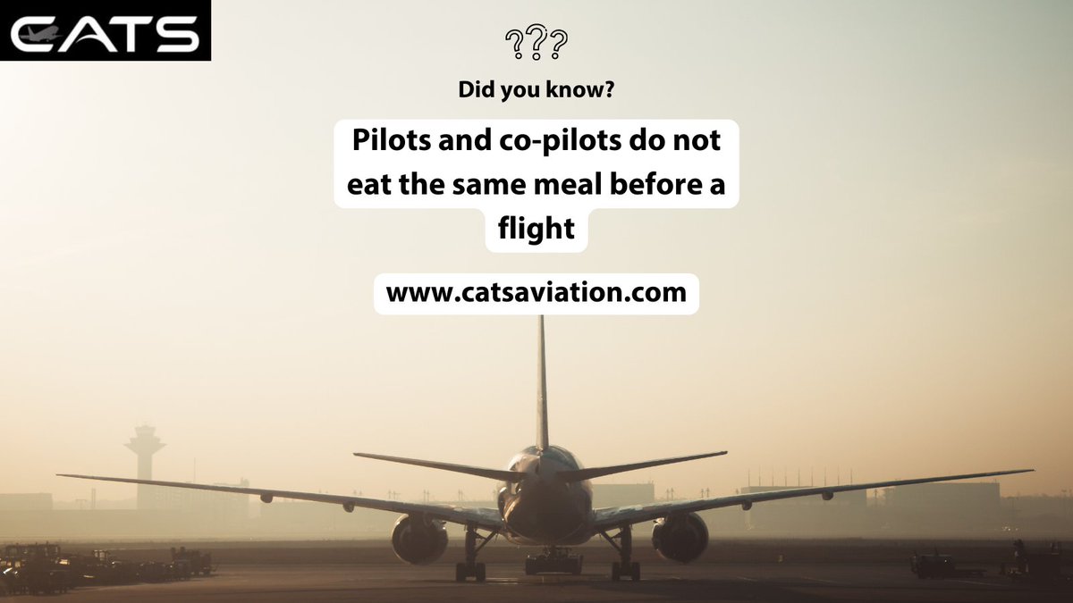 Did You Know?

catsaviation.com