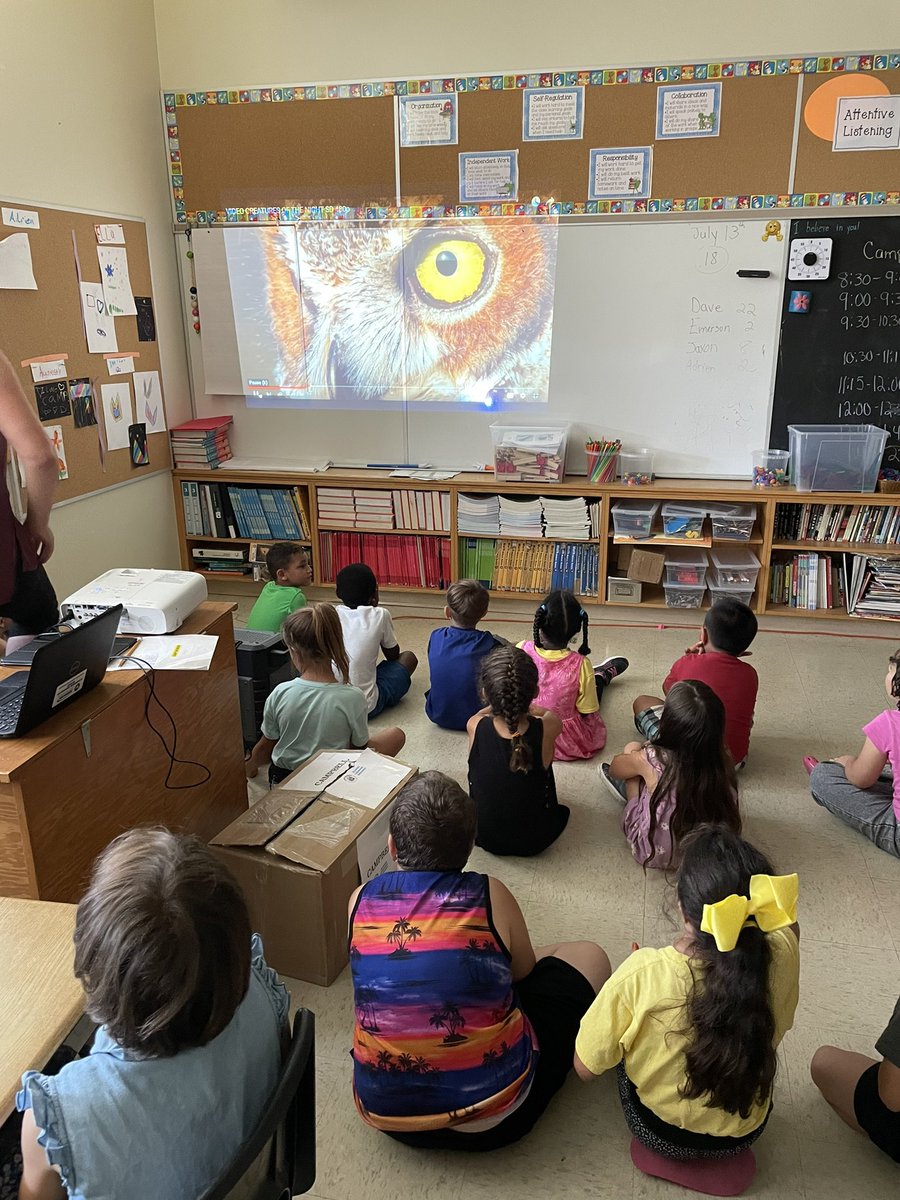 Thank you Kimberley from #lifesongstories we learned so much about our local wildlife! 

<a href="/LauraBa06241838/">Laura Bates</a> <a href="/ClaraHowitt/">Dr. Clara Howitt</a> <a href="/gecdsbpro/">GECDSB PR</a> <a href="/NicoleBacarro11/">Nicole Bacarro</a> @MlleParaschak <a href="/dannunzioFDK/">Chris D'Annunzio</a> #campwonder #GECDSBSLP2022