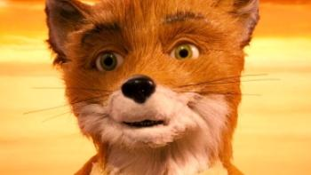 TheFoxStoreSSB's tweet photo. THE STANDINGS FOR THE FOX STORE II HAVE BEEN DECIDED!!!
final bracket commencing soon 🦊 https://t.co/oPa3csIOjp