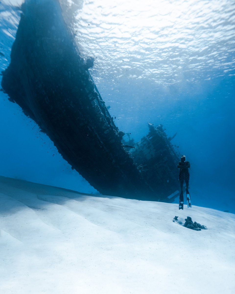 GoPro's tweet photo. Photo of the Day: Final resting place ⚓️ Mohamed Eeshaan captured the scene with #GoProHERO10 Black + the Handler Floating Grip.

#GoPro #GoProSummer #Diving #FreeDiving #Maldives #Shipwreck #Tropics https://t.co/Khwhfvu1By