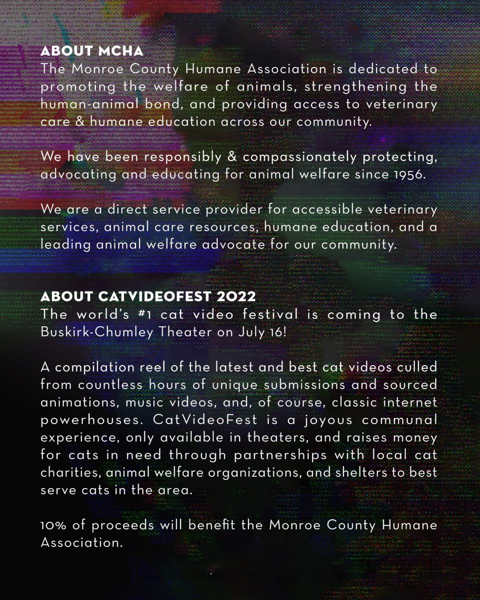 mcha1's tweet photo. Have you gotten your tickets for #CatVideoFest2022 ?
Make sure to visit the MCHA table on your way in and say hello to Yorick the Therapy Cat! We can't wait to see you there! 🐱💚🐱
Tickets available at: https://t.co/zz7qsjWmea https://t.co/btI1Z1P80I