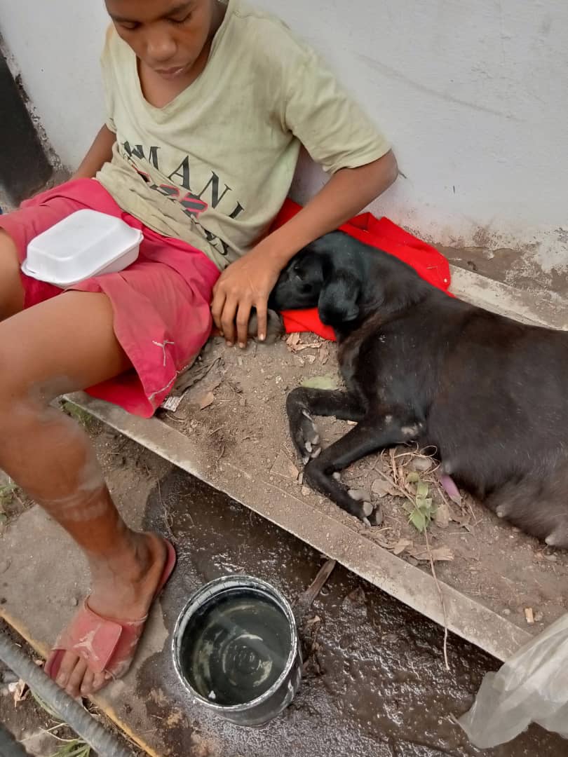 PerroUsuario's tweet photo. RT @maritesotelo: #AUXILIO POR FAVOR quitenle la perrita a ese chico esta lastimandola, le aprieta la pancita y ella se queja. La perrita esta en el módulo de #Polisucre #Petare diagonal a la sede del #FAES. La perrita está pariendo. 
 @PolisucreOficia 

. https://t.co/tieMb01EHd