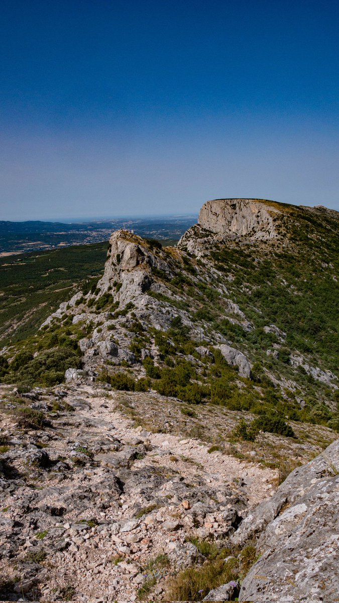 SLCDT25's tweet photo. Ascension #SainteVictoire #BoucheduRhone #paca D+ 700m

#rando #randonnee #trek #hik #visorando @bleuprovence @France3Provence @LPAvignon @saintevictoiree https://t.co/f5BQaDGNvb