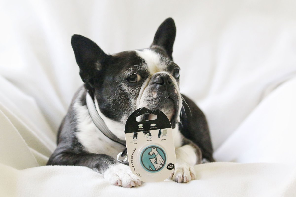 We're giving away a prize pack worth more than $300 at the end of July to conclude #LostPetPreventionMonth! The pack will include a PetHub ReadyKit™, bonus PetHub swag, and products from <a href="/StashiosP/">Stashios</a>, <a href="/TrueDogsLLC/">SodaPup</a>, <a href="/Tractive/">Tractive Smart Pet Tracker</a>, and <a href="/PetSafe/">PetSafe</a>! Enter here: ow.ly/zjug50JPZN6