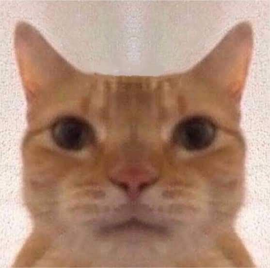 Xavy_V1's tweet photo. @Marianaa_uwu https://t.co/ZgWwvIWkCZ