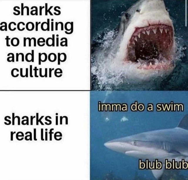 Let's visibilize wholesome sharks