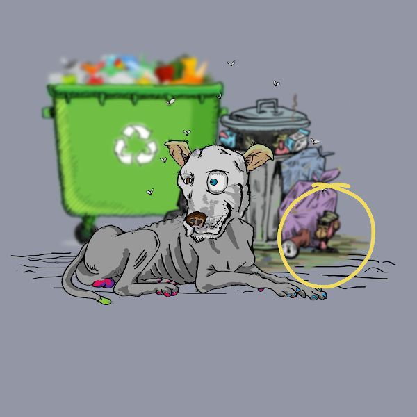 Rodrigo Figueredo🇻🇪🇺🇦 tweet media