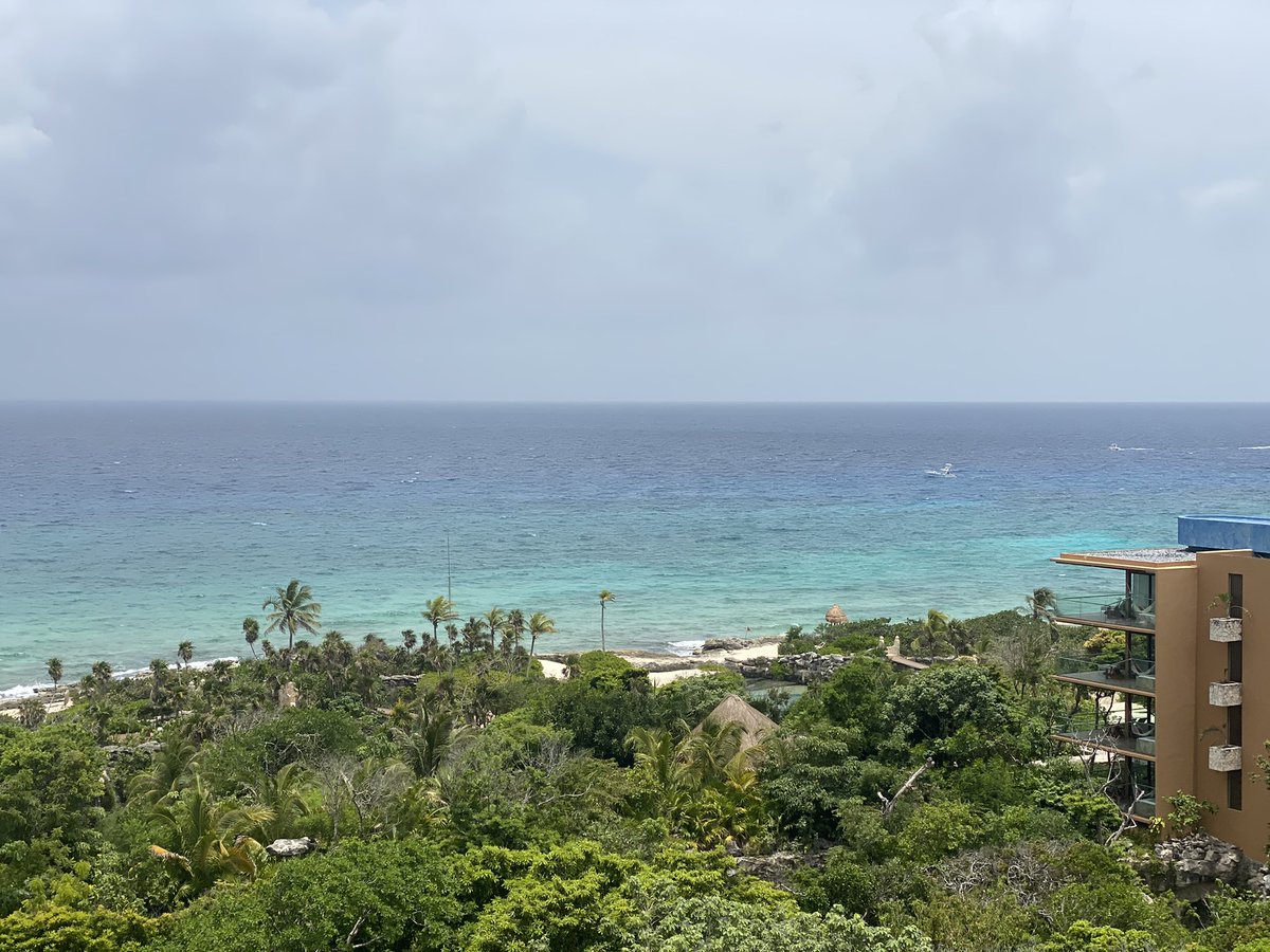 TopTierManny25's tweet image. #RCVIBES