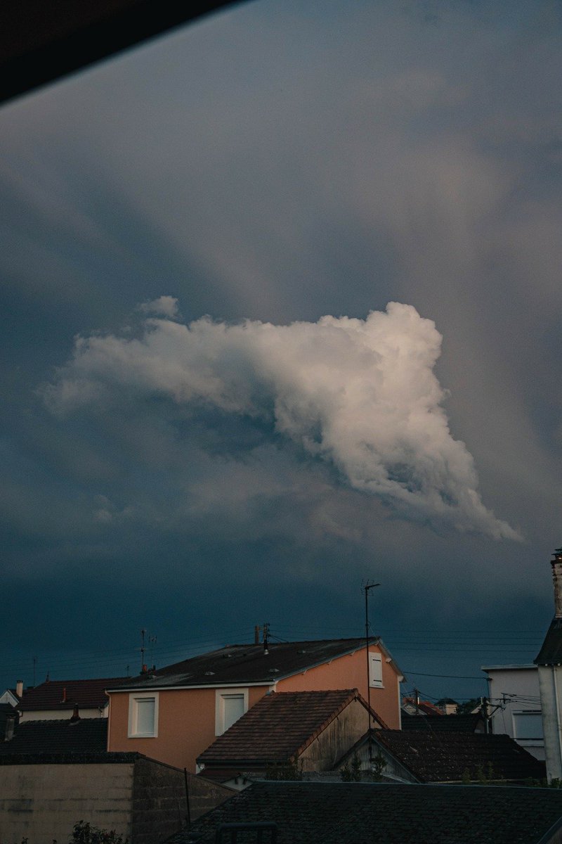 RonGS_'s tweet image. #PortofolioDay 2022