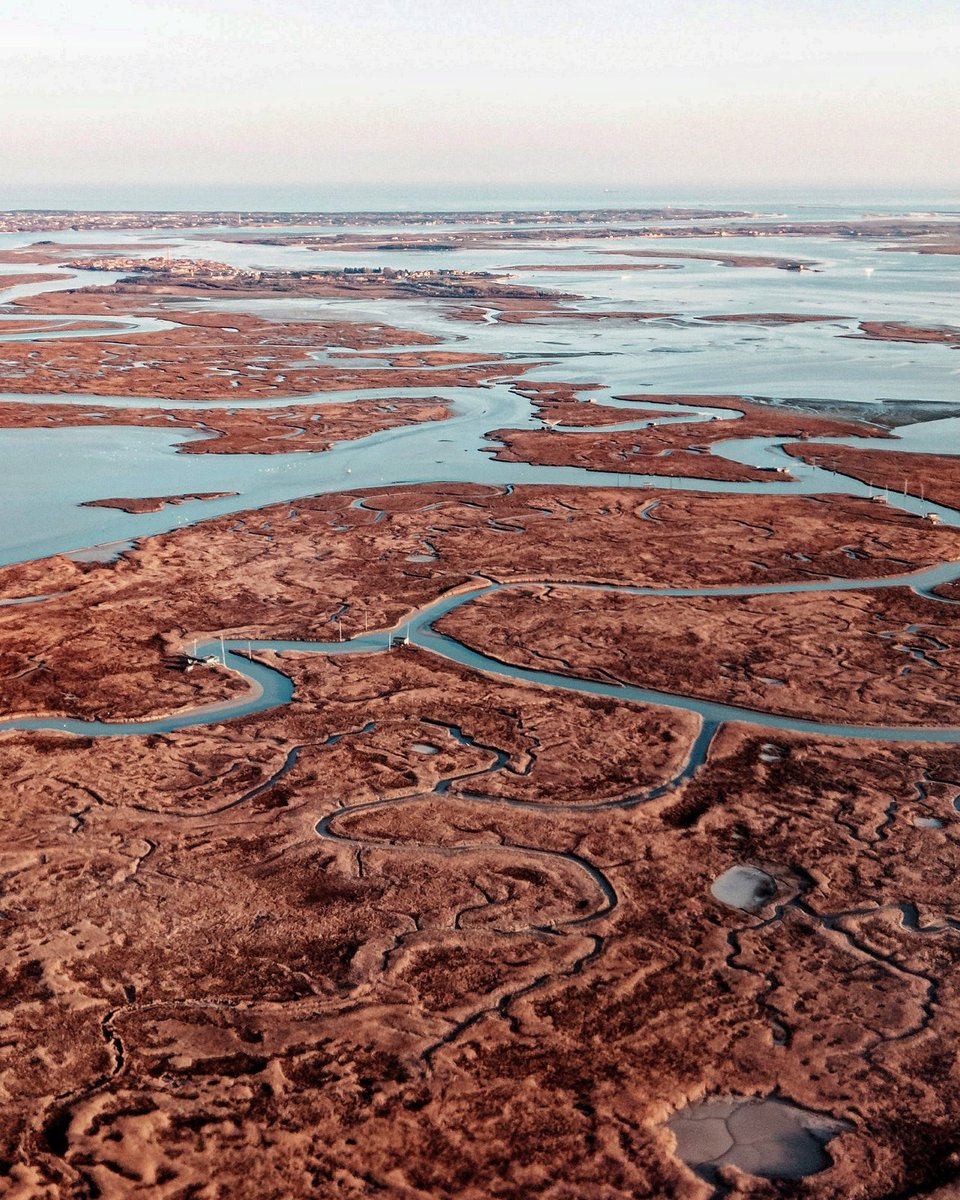 RonGS_'s tweet image. #PortofolioDay 2022