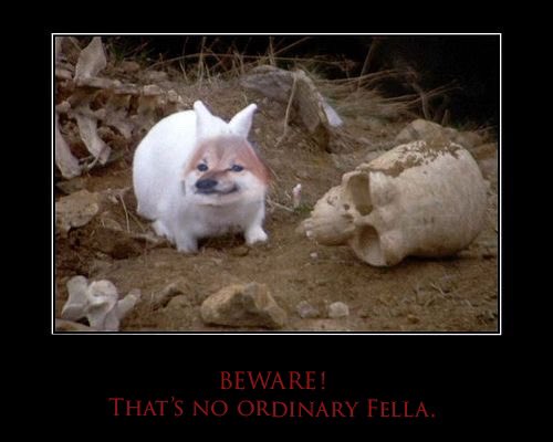 maggiecybr's tweet photo. Indeed 🐇. That’s a killer Fella.
#NAFOFellas #WeAreNAFO #KillerFella #MontyPythonRules https://t.co/UPthI6q0pn