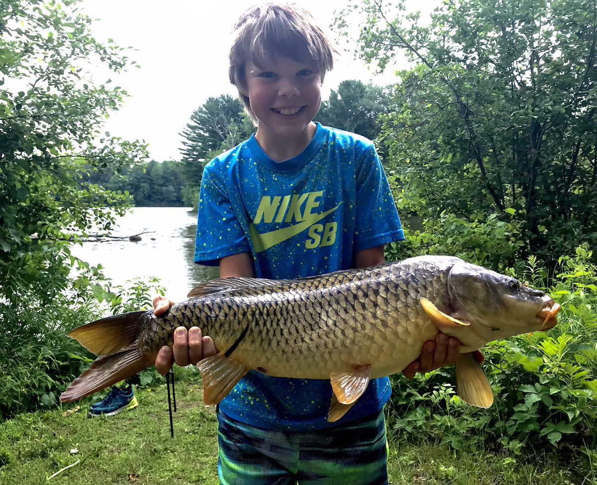 AaronKatzmarek's tweet photo. Wisconsin River brute carp shenanigans this morning.  First fish on a newly discovered sand flat.  Definitely headed back for next mostly cloudy and cool day. 
#carpfishing #Wisconsin #fishing https://t.co/yVVdLsxYhZ