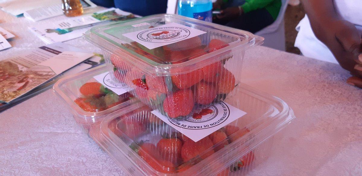 JMNtakirutimana's tweet photo. It was just a joy to visit different agri exhibitors at #RwandaAgriShow2022  at Mulindi! https://t.co/1cmrBezG52