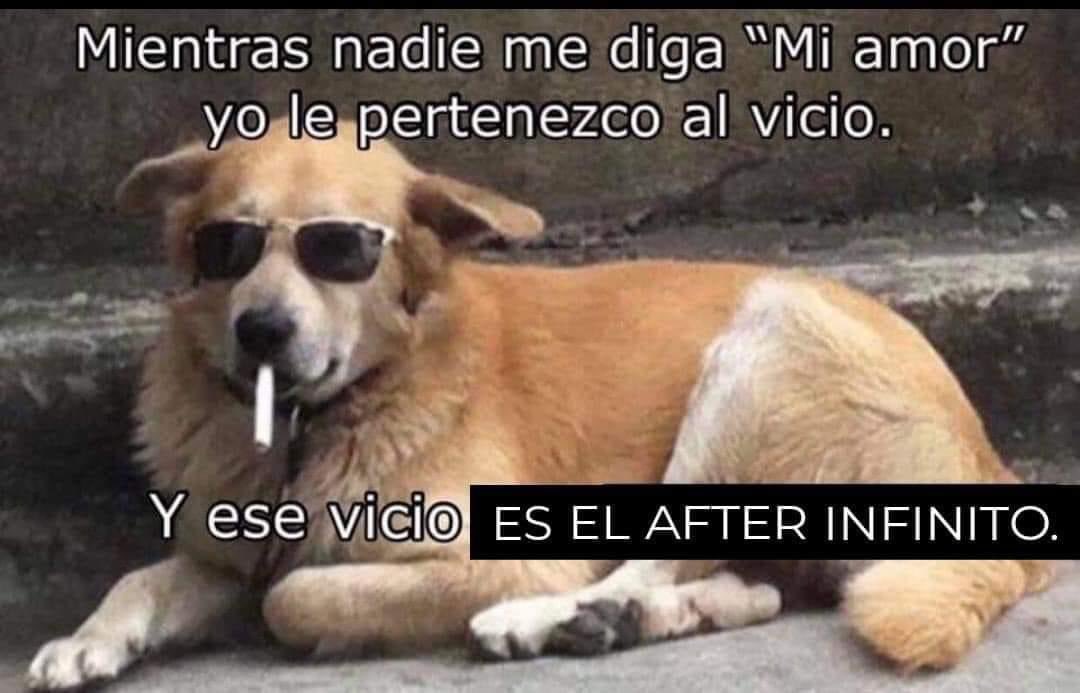 jesusggallo's tweet photo. A mi me gusta sentir como que me muero pa sentirme vivo #afterinfinito https://t.co/qOWIyp8gbM