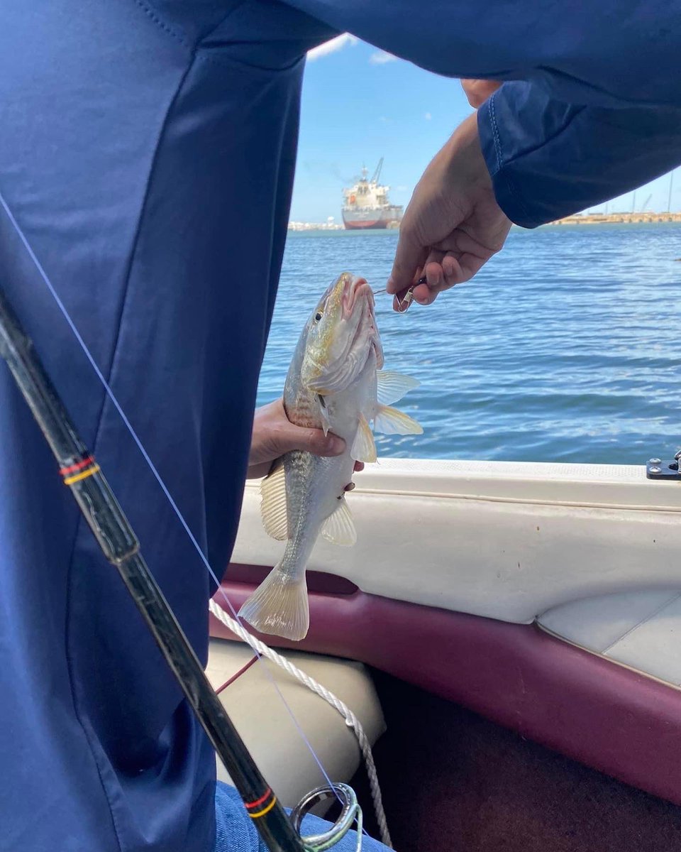 HookNGuns's tweet photo. Little fishing at Port of Brownsville Texas back in June https://t.co/GJnZgn4yUe