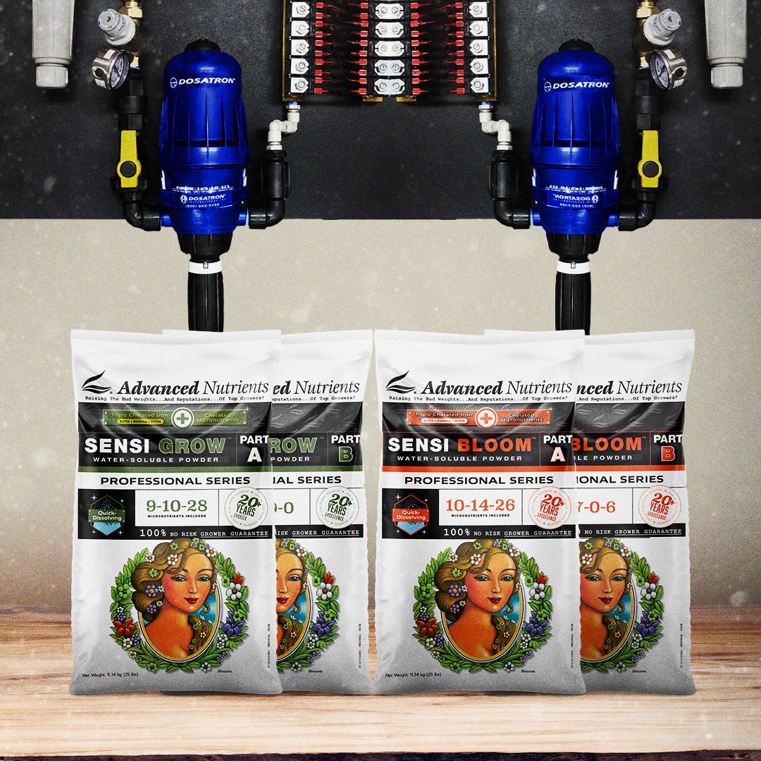 advancednutes's tweet photo. The Sensi Professional Series water-soluble powder is a two-part A&amp;B nutrient formula, containing precise nutrition for every phase of plant development.

Find out more here  https://t.co/4MfV83Qy72

#basenutrients #npk #dosatron #irrigation #irrigationsystem https://t.co/pEsgNAdz9I