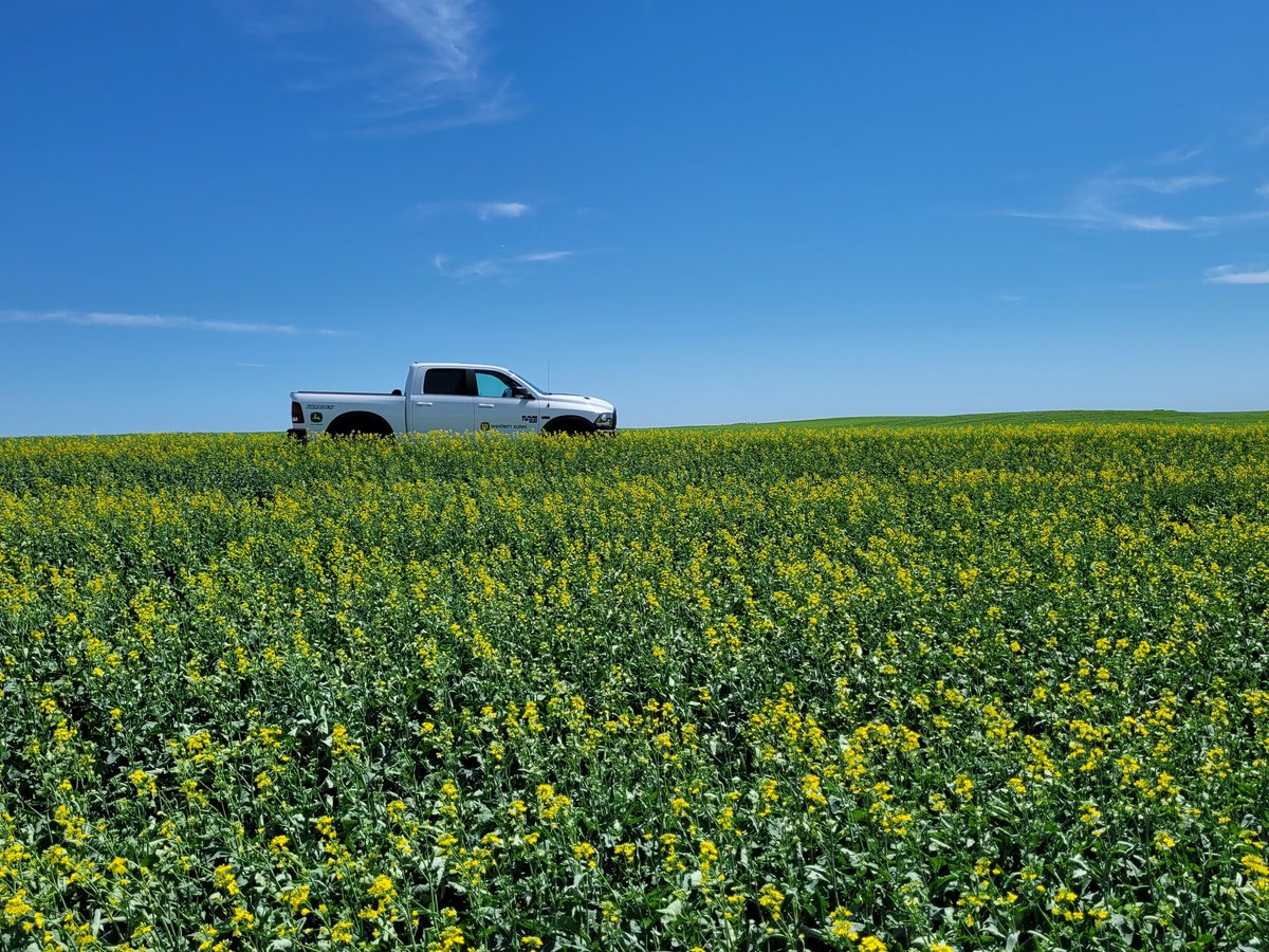 Justin Dering, PAg, CCA tweet media