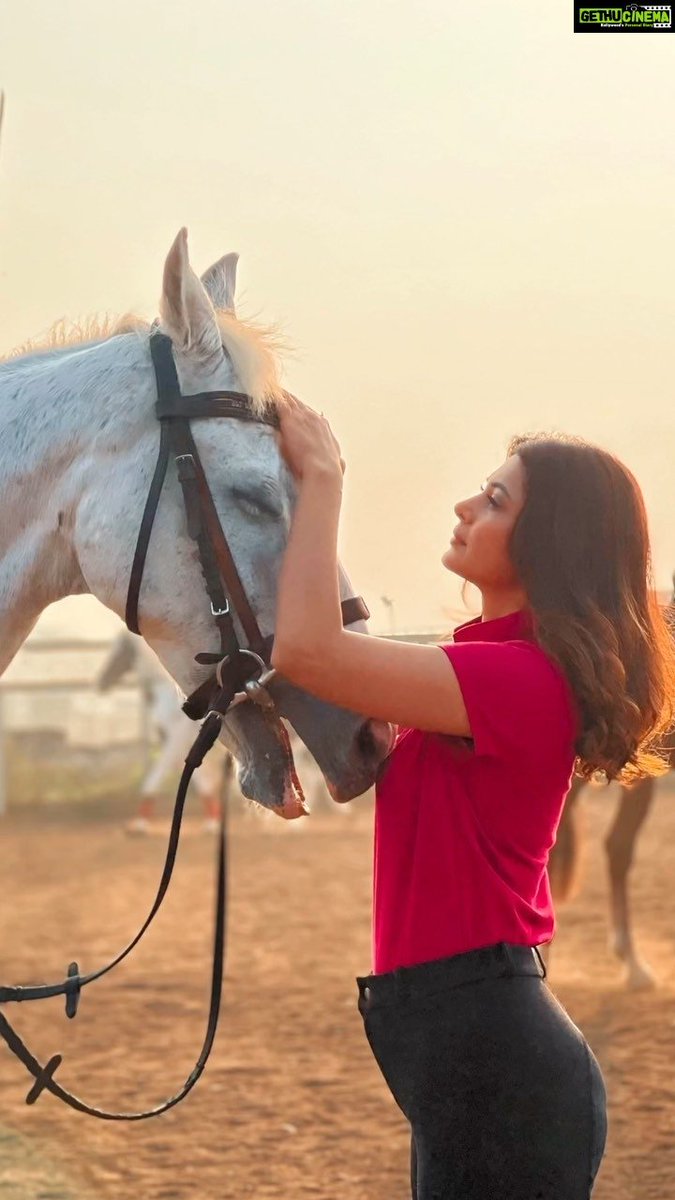 enchantedfaye's tweet photo. Nothing just #ParJen with horses 🥺🤧 #ParthSamthaan #JenniferWinget https://t.co/yvpGsiExbx