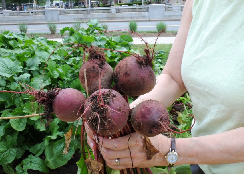 This summer as you are harvesting your garden, consider donating your excess harvest. Donating wholesome food for human consumption diverts food waste from landfills and puts food on the table for families in need. Learn more: bit.ly/3AAfNhX #PeoplesGarden
