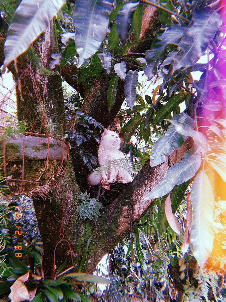 ℭ A T Y ℬ . tweet media