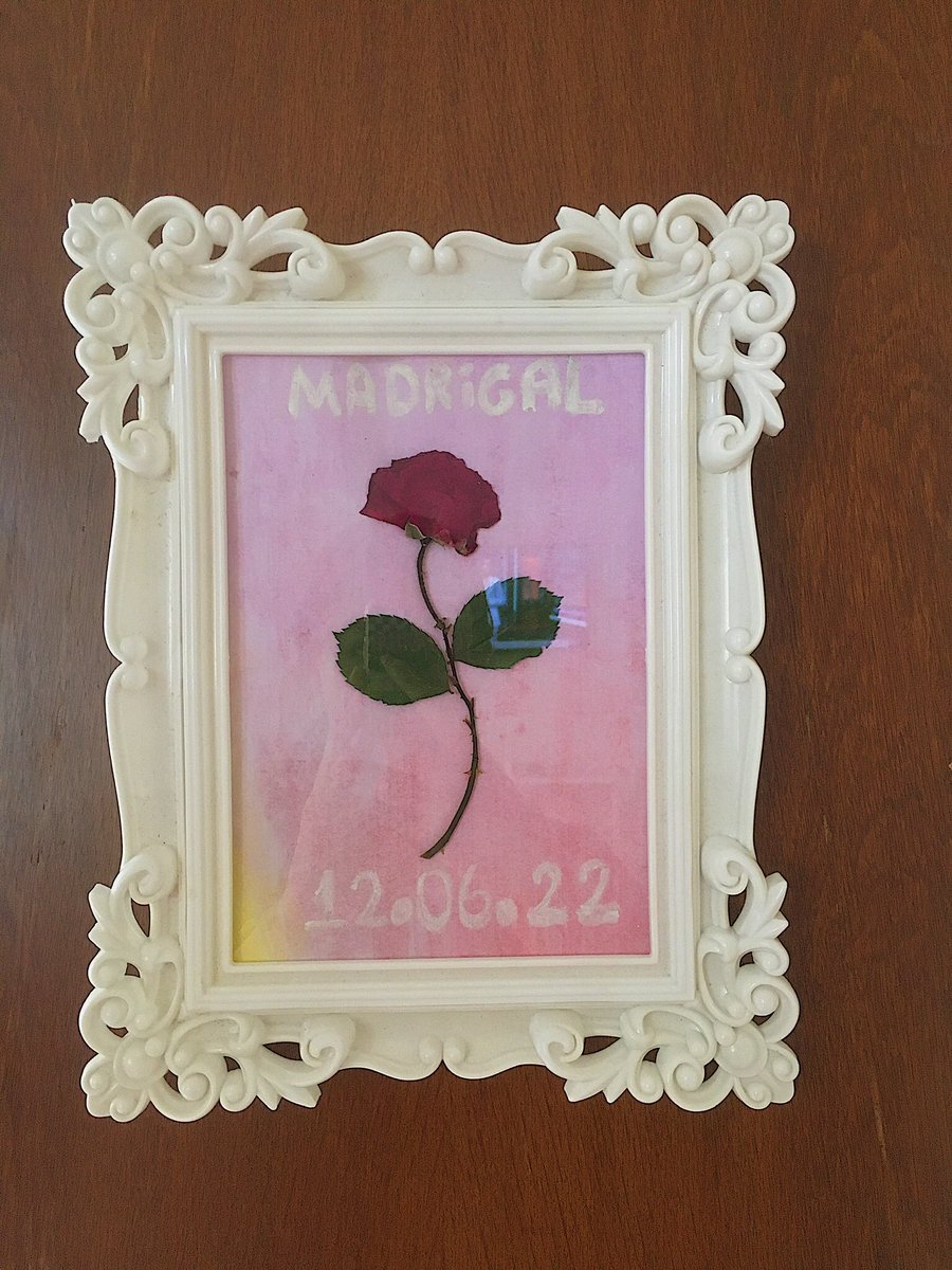 12.06.22 🌹 anısına 
<a href="/ceyceey/">Ceylan</a> <a href="/sanliakgunn/">sanlı</a> <a href="/Kaannalc/">Kaan ALICI</a> @BurakEmirKamaci