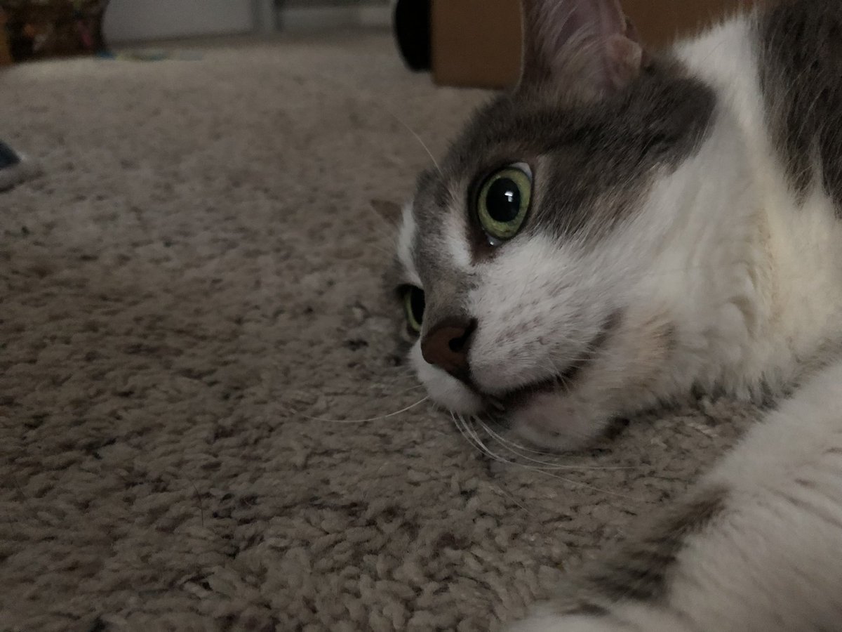 Nicole (@nicole_test_4) on Twitter photo 