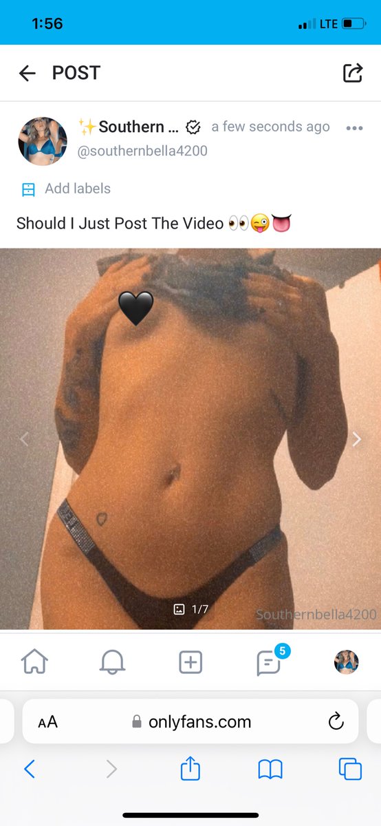 Bella41794482