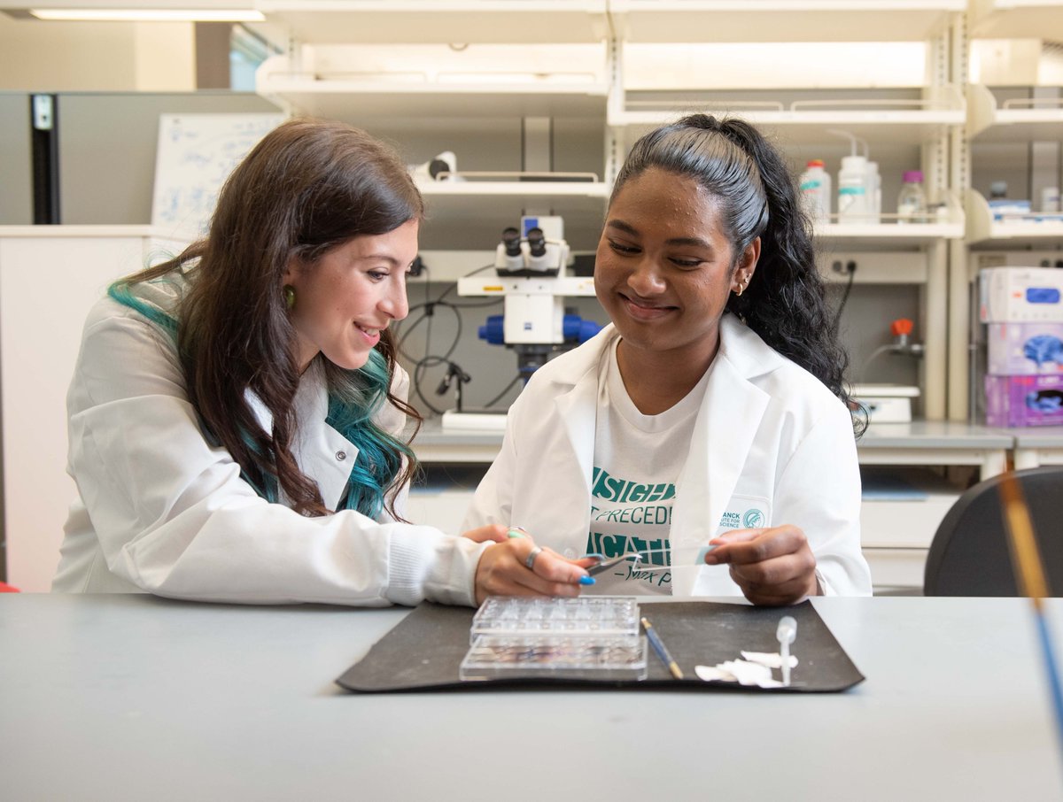 Max Planck Florida Institute for Neuroscience tweet media