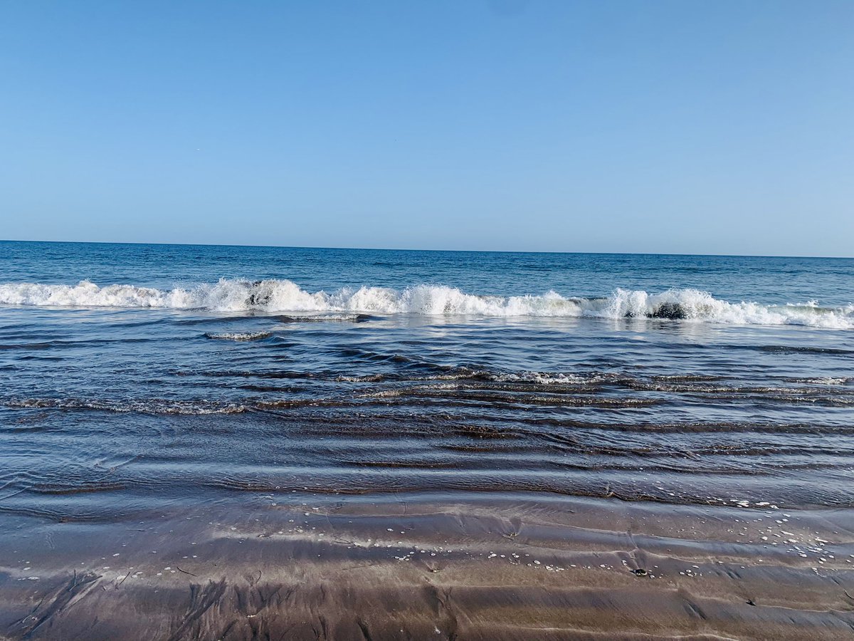 jfguzmanm's tweet photo. Llegar a las 19:20 a #Maspalomas y tener #28Grados #ParaisoNatural #CostaCanaria #GranCanaria #Maravilla https://t.co/VnL2lvnsO4