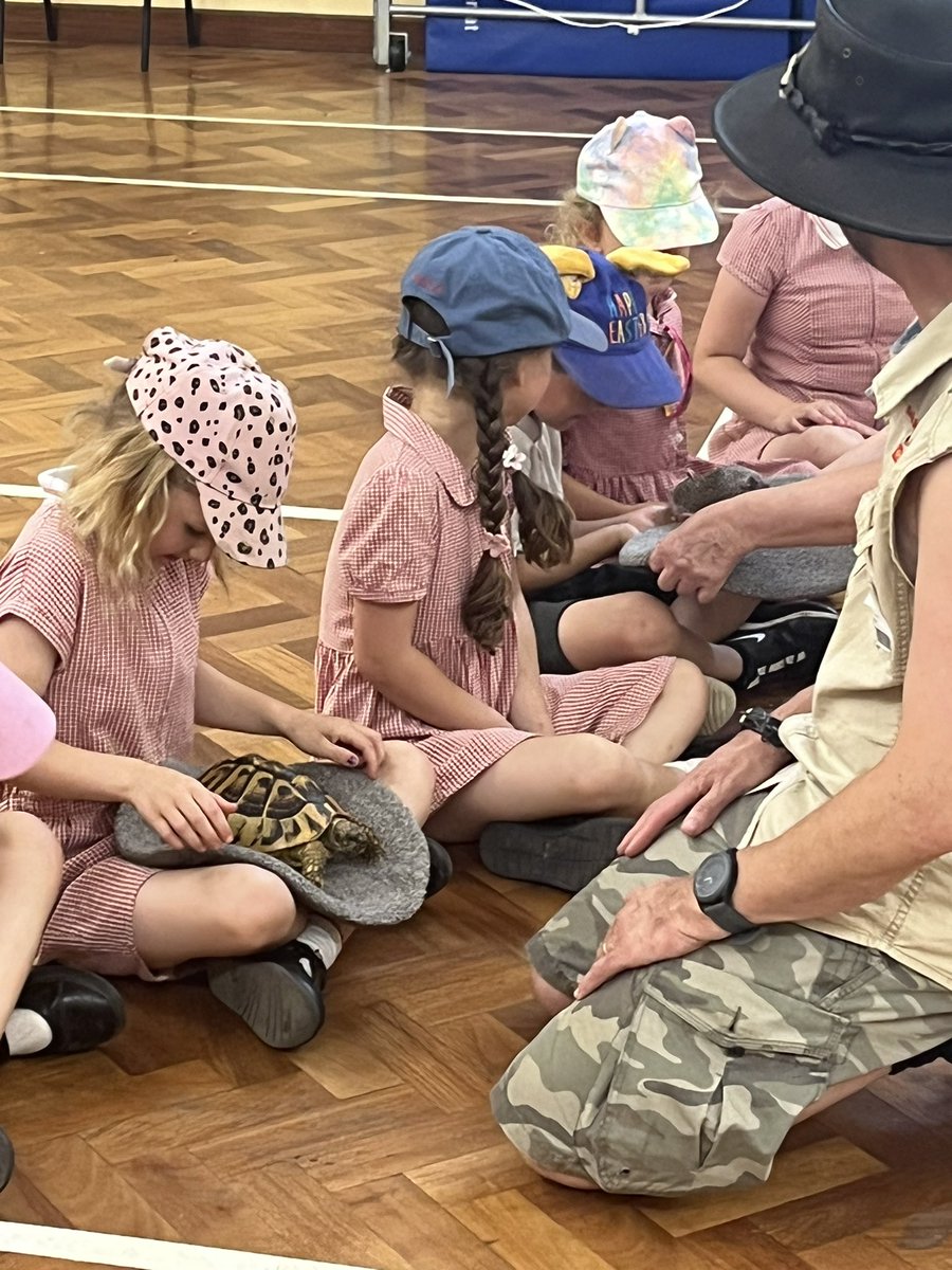 MissJohnALS's tweet photo. 1 Wonderland loved Safari Stu this afternoon! Thank you @AbbotsALSA https://t.co/YATC7uqfut