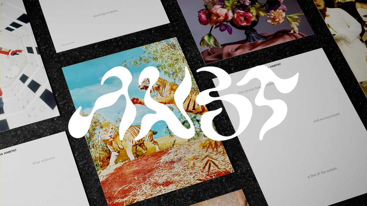 nustudioxyz's tweet photo. Excuse us, just being fashionably late to #PortfolioDay 💅💅💅 We are an independent creative studio from México and we like designing things whatever they may be ✨ https://t.co/cEqp6SRk9L