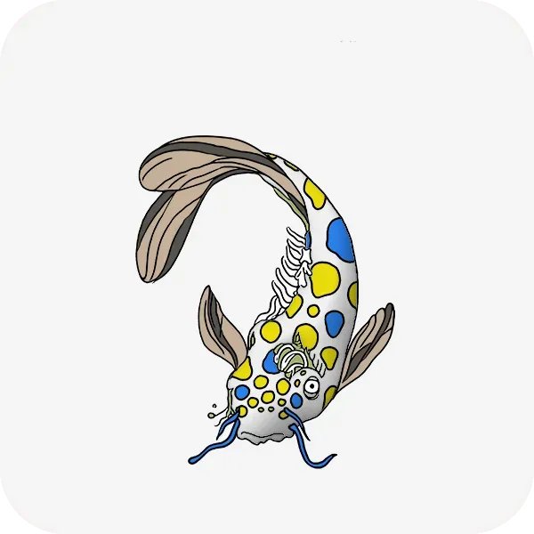 KoiFishCollective tweet media