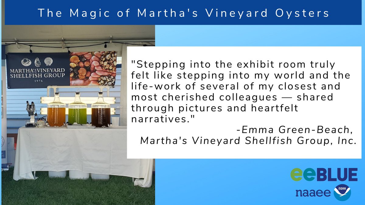 NOAAeducation's tweet photo. With support from the @TheNAAEE #eeBLUE program, the Martha’s Vineyard Shellfish Group partnered with Martha’s Vineyard Oyster Festival, @mvmuseum, and @CottageCity to share the stories of Martha’s Vineyard shellfish farming through their own voices: https://t.co/1h7AVHoNEb https://t.co/UzInsgTajr