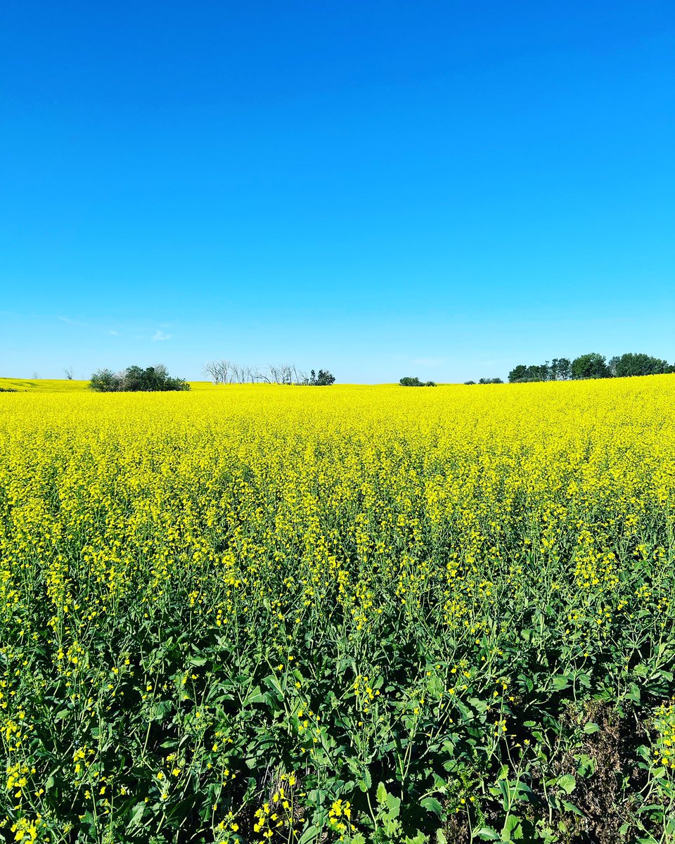 I can’t think of a better view to start my day!